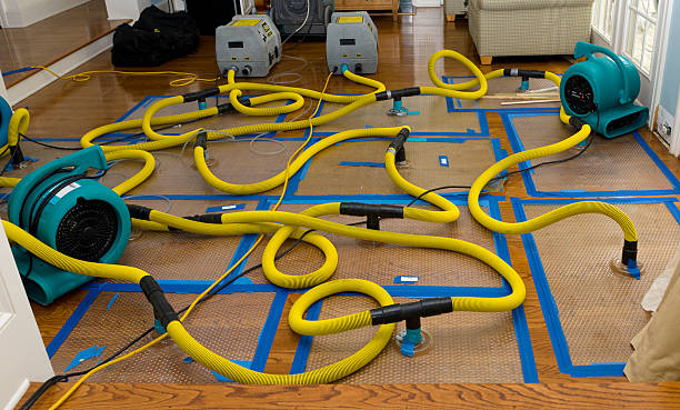 Professional Burst Pipe Water Damage technician working in Duff, TN